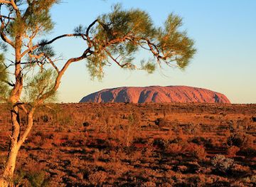australia/outback/landmark/field-of-light-uluru