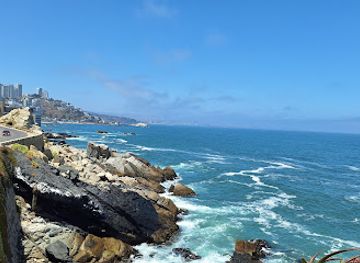 chile/vina-del-mar/landmark/roca-oceanica