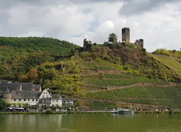 Metternich Castle