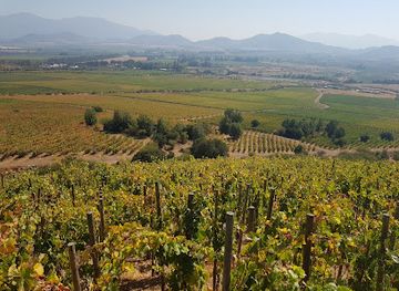 chile/colchagua-valley/landmark/vina-koyle