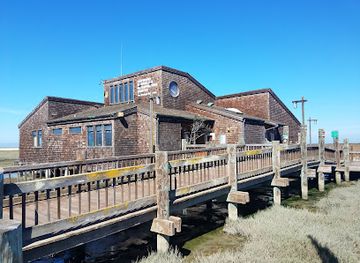 california/san-lorenzo/landmark/hayward-regional-shoreline-parking