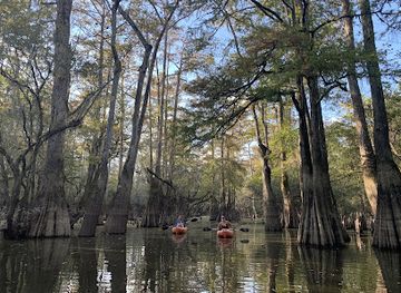 louisiana/honey-island-swamp/landmark/honey-island-swamp-kayak-tours-guided-bayou-tours