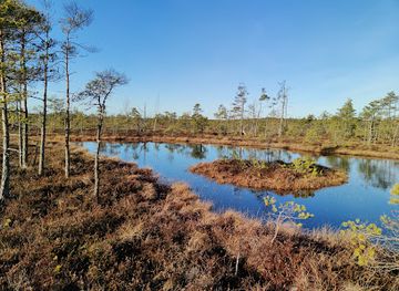 latvia/teici-nature-reserve/landmark/cenas-bog-trail