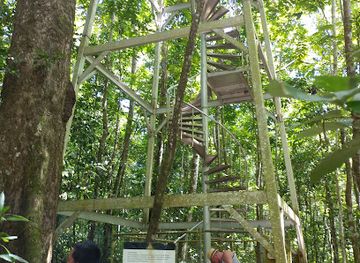 samoa/vaisigano/landmark/falealupo-canopy-walkway