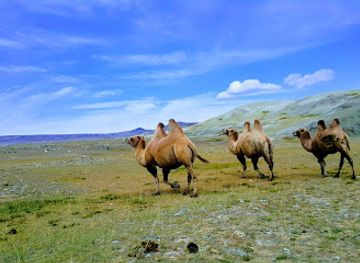 mongolia/eastern-steppe/landmark/altai-tavan-bogd-national-park