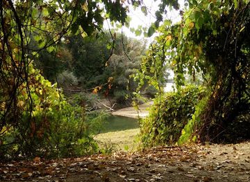 romania/calarasi/landmark/wakeboard-romania