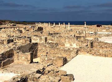 cyprus/morphou-bay/landmark/villa-of-theseus