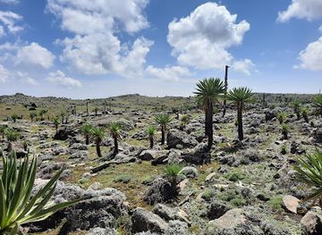 ethiopia/gurage/landmark/sanetti-plateau