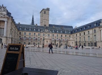 france/dijon/landmark/loiseau-des-ducs
