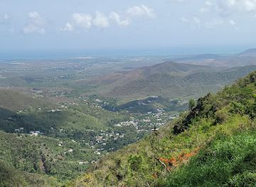 puerto-rico/puerto-rican-cordillera/landmark/la-curva-del-arbol