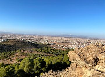 morocco/oujda/landmark/sidi-maafa-forest