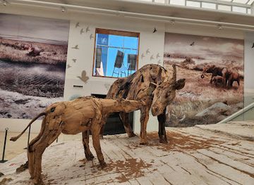 south-africa/west-coast-national-park/landmark/west-coast-fossil-park