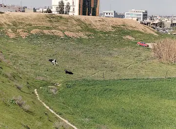 Southern Wall of Nineveh ancient city