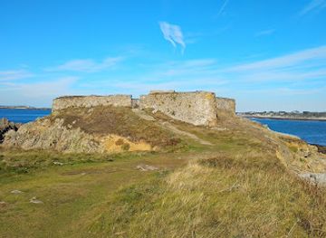 guernsey/les-tielles/landmark/table-des-pions-fairy-ring