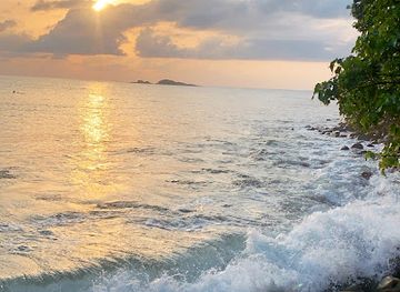 ghana/busua/landmark/black-cotton-beach-club