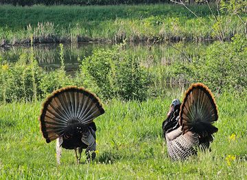 wisconsin/madison/landmark/arboretum