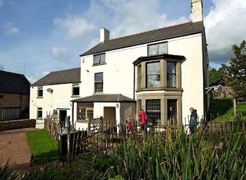 united-kingdom/gloucestershire/attraction/puzzlewood-2