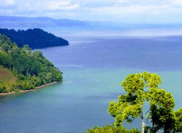 costa-rica/south-pacific/landmark/reserva-forestal-golfo-dulce