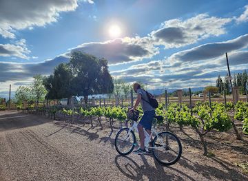 argentina/mendoza-wine-region/landmark/wine-and-ride