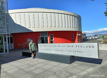 new-zealand/napier/landmark/national-aquarium-of-new-zealand