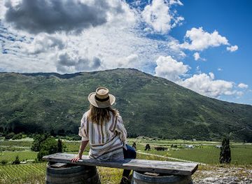 new-zealand/queenstown/landmark/hop-on-hop-off-wine-tours-queenstown