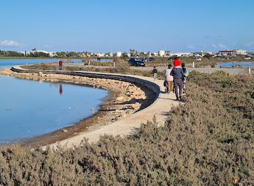 cyprus/larnaca-salt-lake/landmark/salt-lake-view-point
