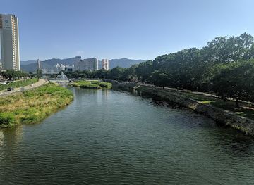 south-korea/daegu/landmark/kim-gwang-seok-street