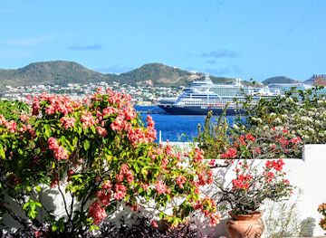 saint-kitts-and-nevis/botanical-gardens-of-nevis/landmark/palms-court-gardens