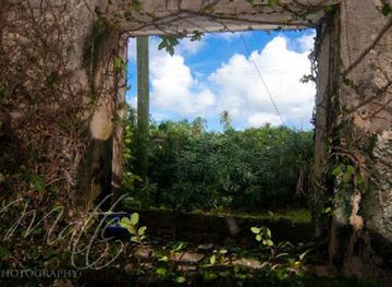 barbados/saint-lucy/landmark/go-barbados