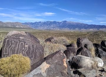 Three Rivers Petroglyph Site