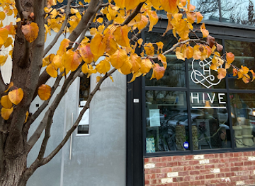 australia/canberra/braddon/landmark/hive