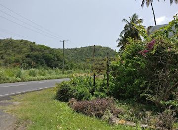 saint-lucia/soufriere-quarter/landmark/mamiku-gardens
