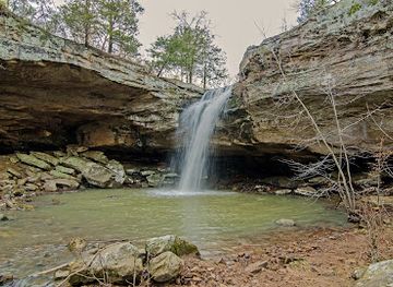 illinois/ferne-clyffe-state-park/landmark/ferne-clyffe-waterfall-trail