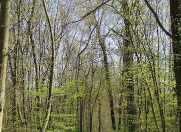 austria/vienna-woods/landmark/promenade-horndlwald