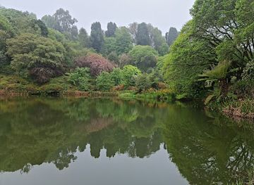south-africa/lowveld/landmark/cheerio-gardens