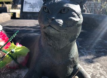 new-zealand/wellington/landmark/mrs-chippy-monument