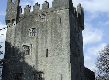 ireland/county-limerick/landmark/castle-matrix