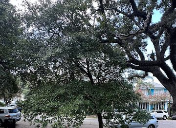 louisiana/new-orleans/landmark/the-momenta-magnolia