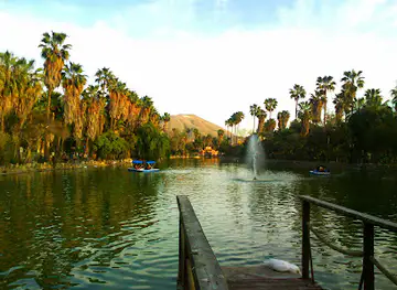 Parque Morelos