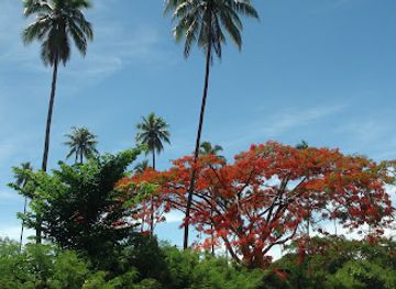 vanuatu/tanna/landmark/south-pacific-tours-spt-vanuatu