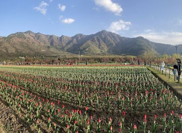 india/pahalgam/landmark/hitch-a-hike-tour-and-travels