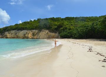 antigua-and-barbuda/dickenson-bay/landmark/bush-bay