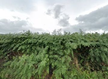 ireland/county-tipperary/landmark/easternmost-point-of-county-tipperary