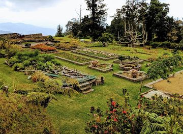 jamaica/st-thomas-lowlands/landmark/cinchona-botanical-gardens-ja