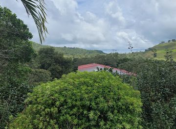 panama/volcan/landmark/janson-coffee-shop