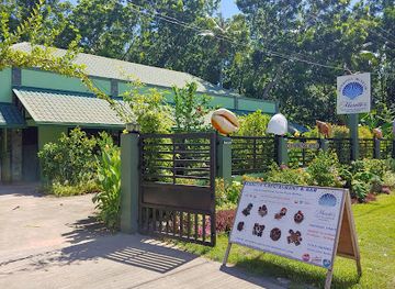 philippines/siquijor/landmark/marelle-s-seashell-museum