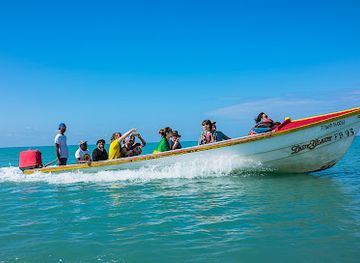 jamaica/treasure-beach/landmark/treasure-beach-tourist-information