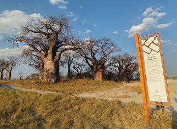 botswana/nxai-pan-national-park/landmark/baines-baobabs