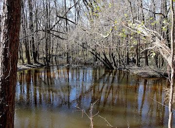 south-carolina/congaree-national-park/landmark/congaree-creek-heritage-preserve