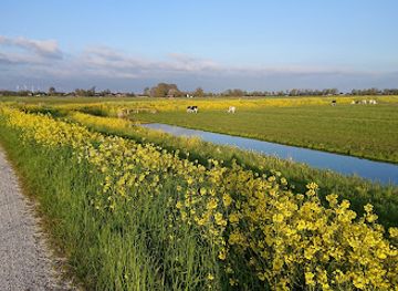 netherlands/ijsselmeer-polders/landmark/bedijkte-boezem